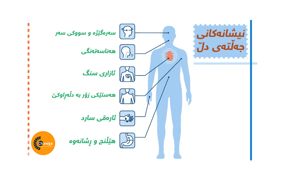جەڵتەی دڵ چییە و چۆن ڕوودەدات و هۆکار و نیشانەکانی چین؟ - چاوگە