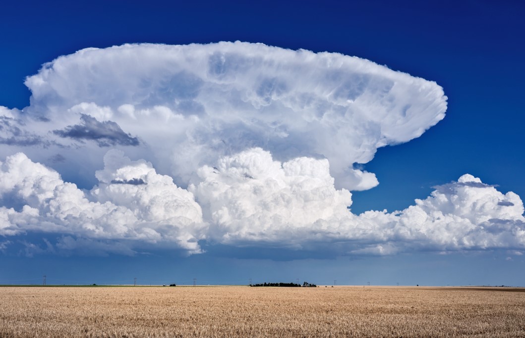 جۆرەکانی هەور؛ کومولۆنیمبۆس